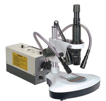 ���Դ�u�u��